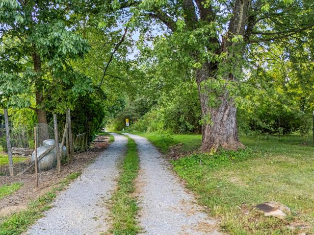 Land for sale in Trenton, Georgia