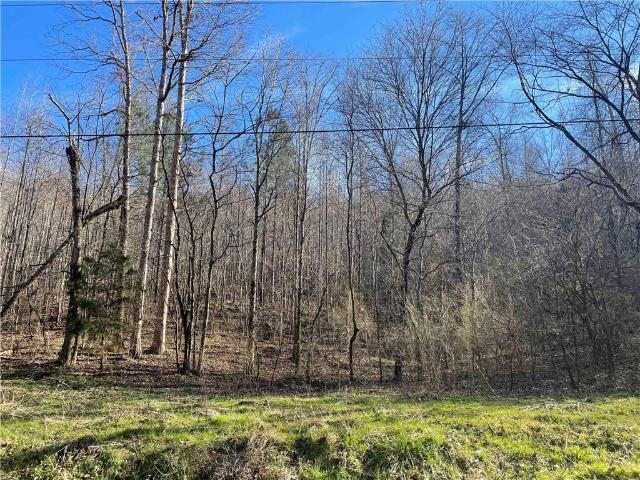 Land for sale in Bartow, Georgia