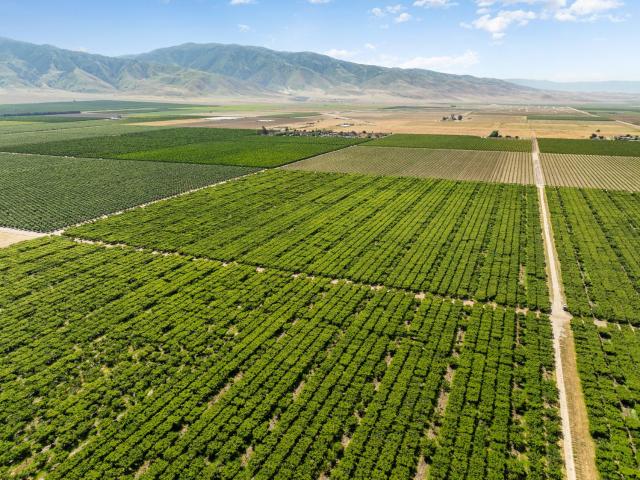 Land for sale in California