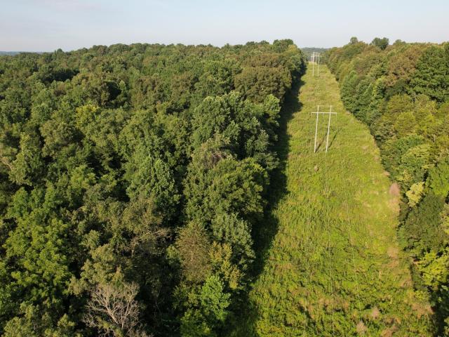 Commercial Land for sale in Cumberland Furnace