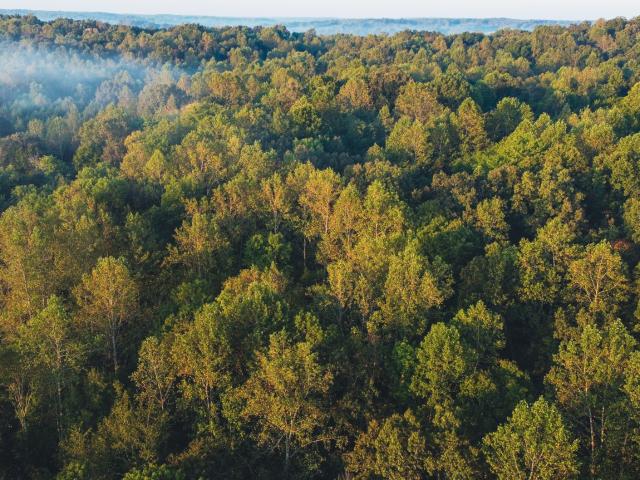 Farm for sale in Stayton, Middle Tennessee