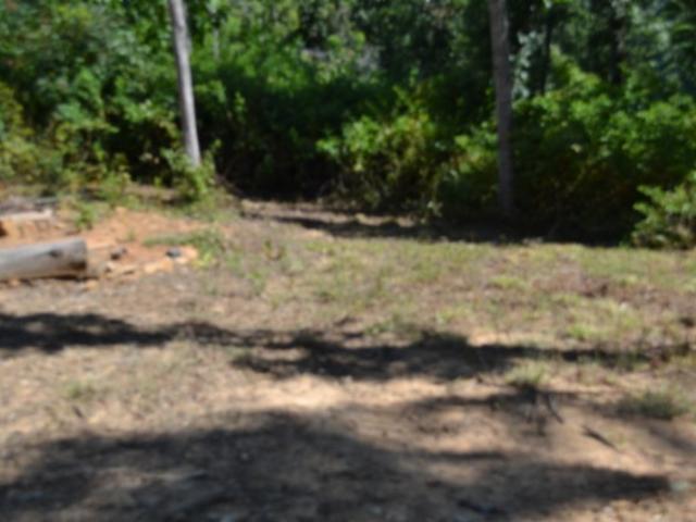 Land for sale in Tennessee
