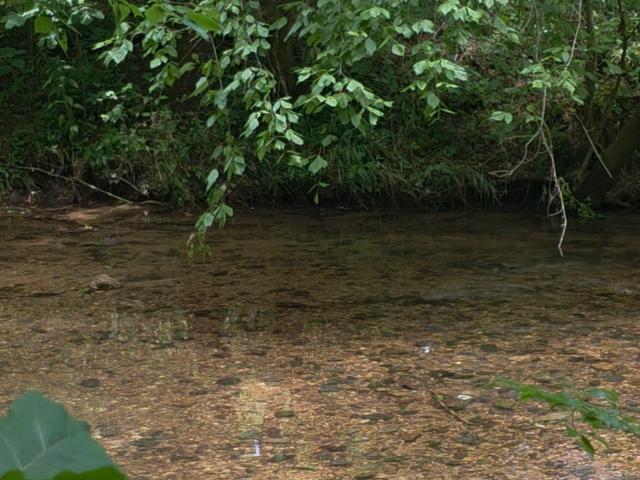 Farm for sale in Tennessee
