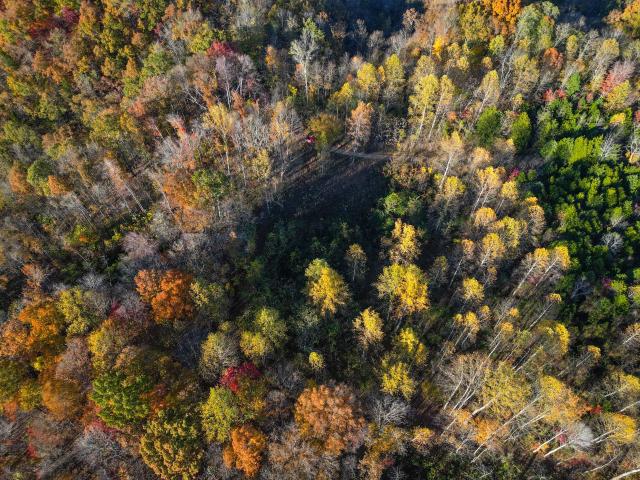 Land for sale in Tennessee