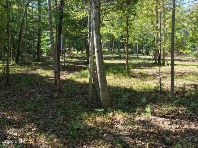 Land for sale in Grayson County, Kentucky