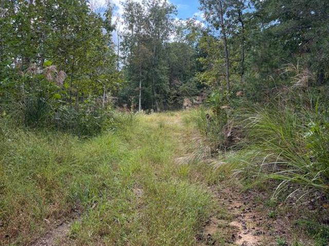 Land for sale in Culpeper County, Virginia