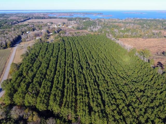 Land for sale in Eutawville, South Carolina