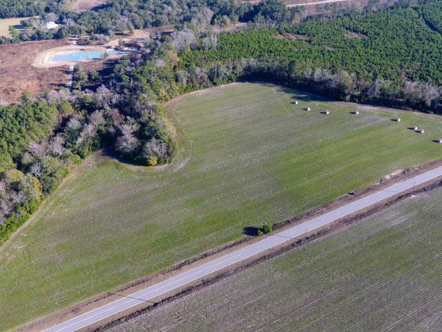 Land for sale in Eutawville, South Carolina