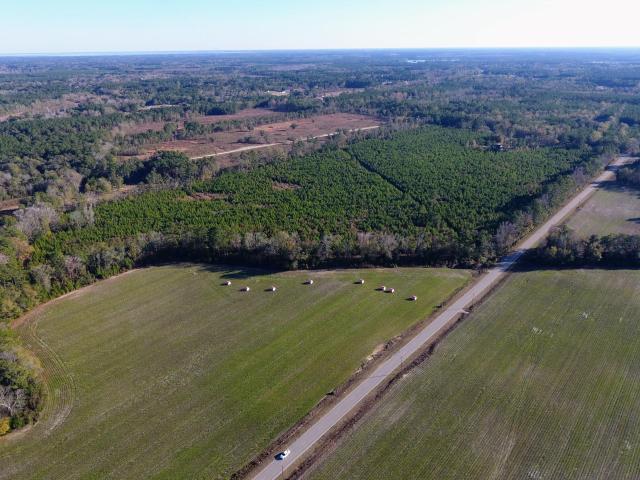 Land for sale in Eutawville, South Carolina