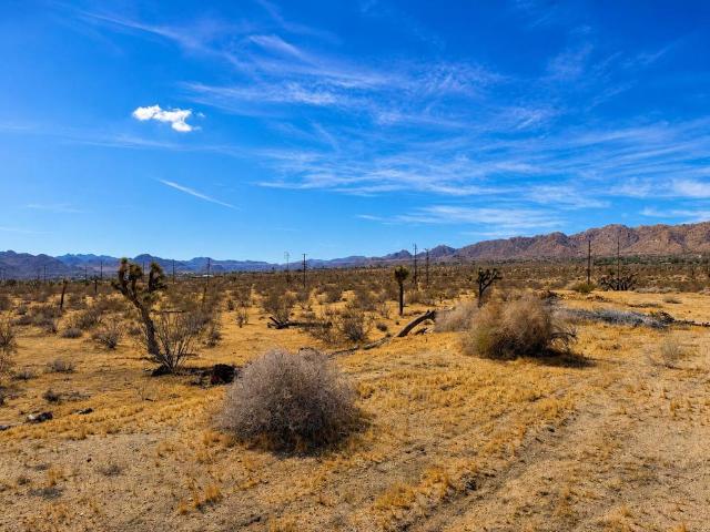 Land for sale in Joshua Tree, California