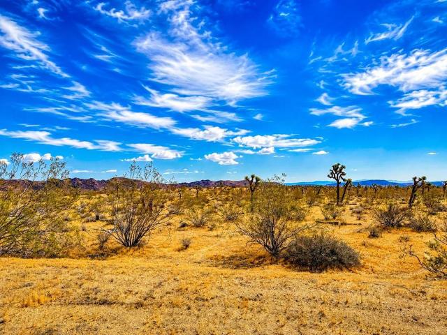 Land for sale in Joshua Tree, California