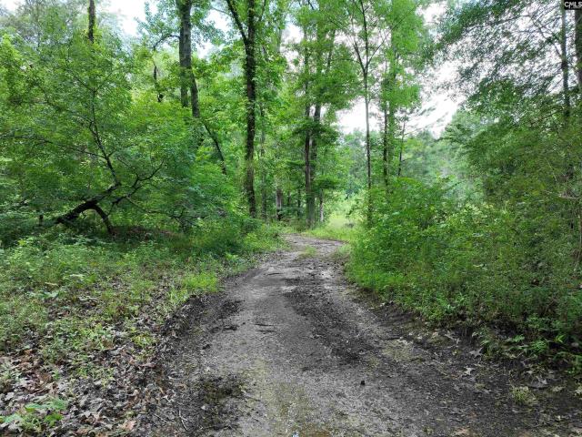 Land for sale in Chapin, South Carolina