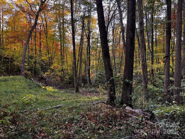 Land for sale in Haywood, North Carolina