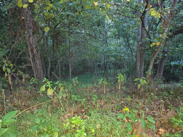 Land for sale in Moneta, Bedford County