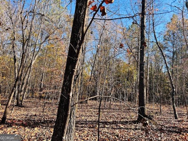 Land for sale in Luthersville, Georgia