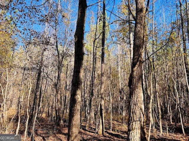 Land for sale in Luthersville, Georgia