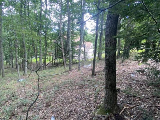 Land for sale in Chestnuthill Township, Monroe County