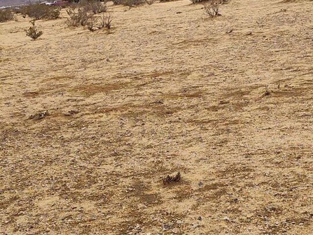 Land for sale in Lucerne Valley, California