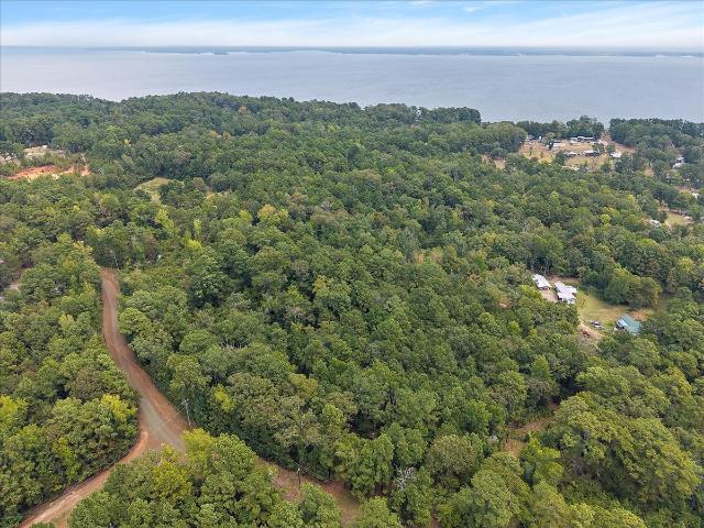 Land for sale in Hickory Ridge, Hemphill