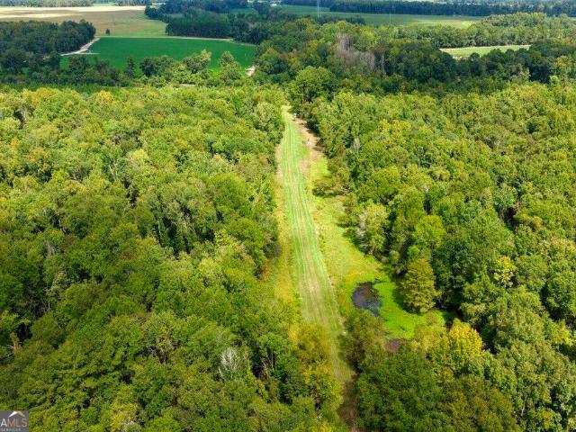 Land for sale in Rogers, Millen