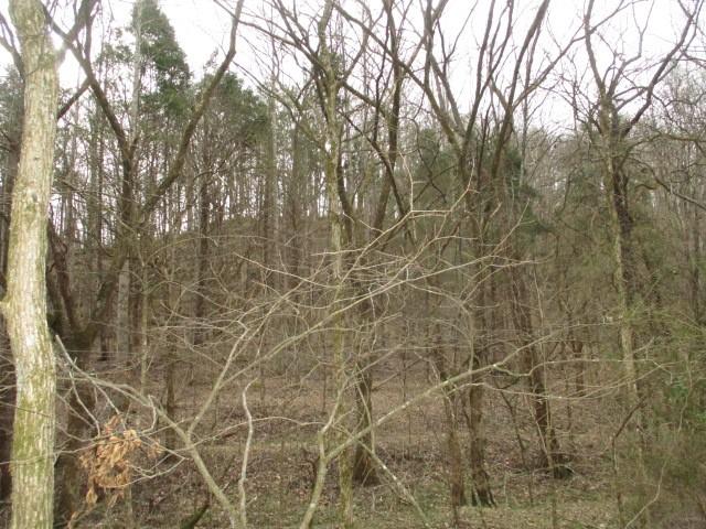 Land for sale in Tennessee