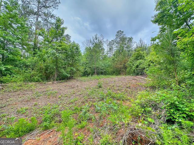 Land for sale in Franklin, Georgia