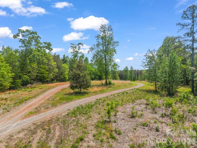 Land for sale in Rutherford, North Carolina