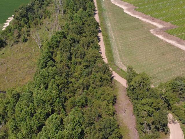 Land for sale in Bellville, Claxton