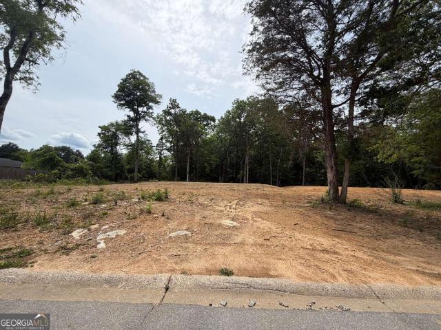 Land for sale in Cedartown, Georgia
