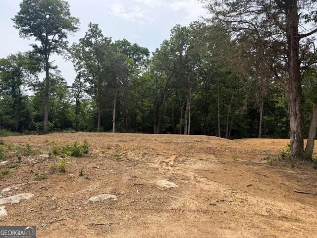 Land for sale in Cedartown, Georgia