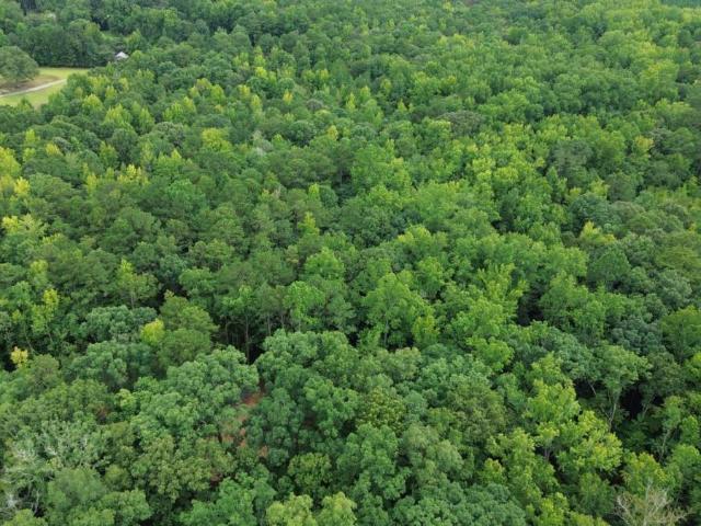 Land for sale in Warm Springs, Meriwether County