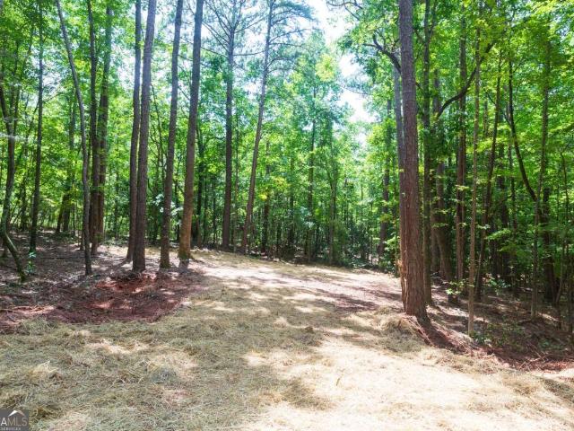 House for sale in Warm Springs, Georgia