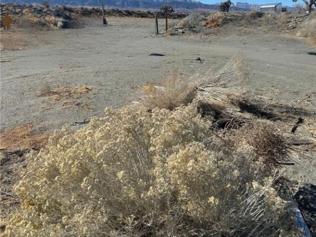 Land for sale in Pinon Hills, California