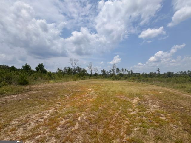 Land for sale in Lyons, Georgia