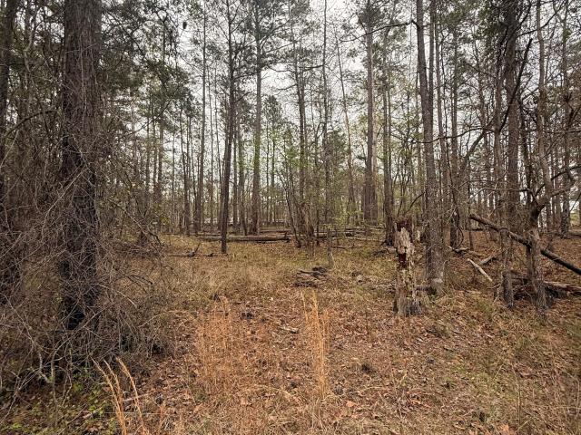 Land for sale in Sparta, Georgia