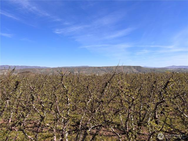 Land for sale in Tieton, Washington