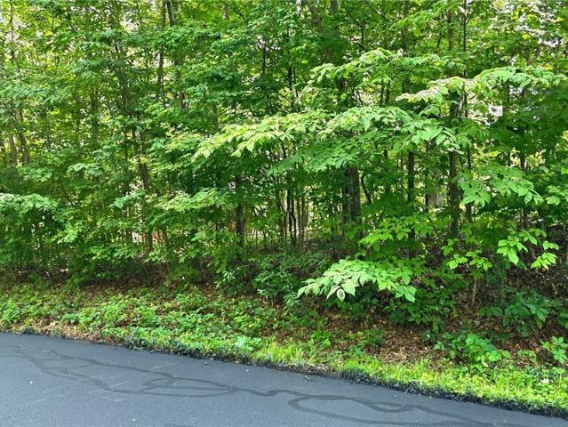 Land for sale in Palmyra, Harrison County