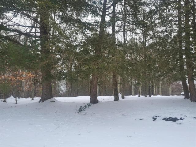 Land for sale in Bethel, New York