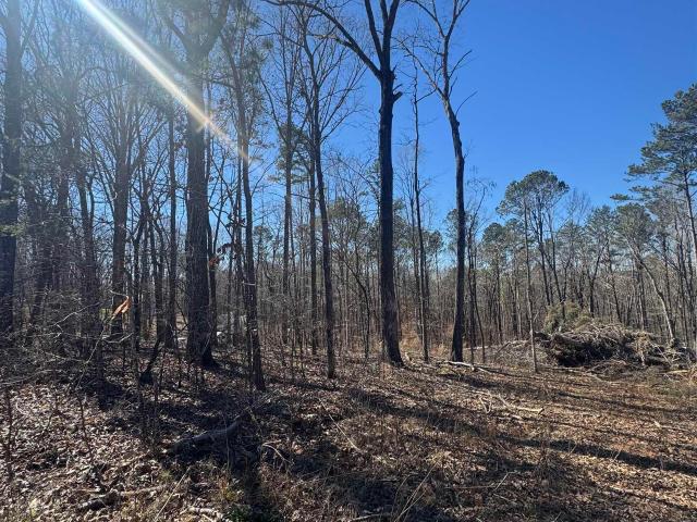 Land for sale in Tuscaloosa