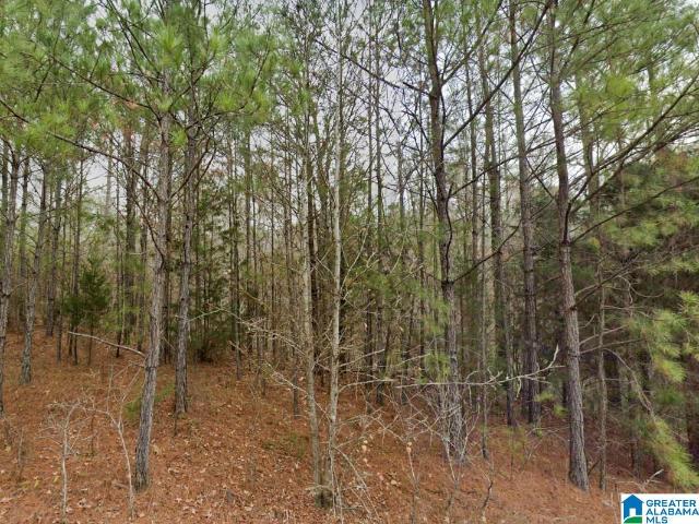 Land for sale in Duncanville