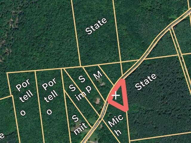 Land for sale in Town of Summit, Schoharie County