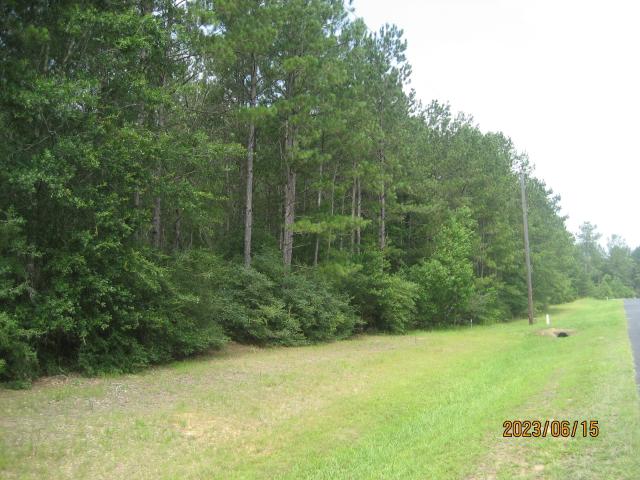 Land for sale in Waller, Texas