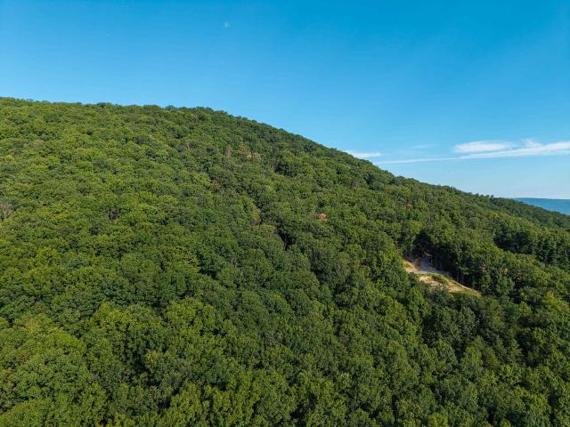 Land for sale in Virginia