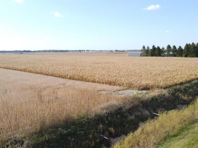 Land for sale in Custar, Wood County