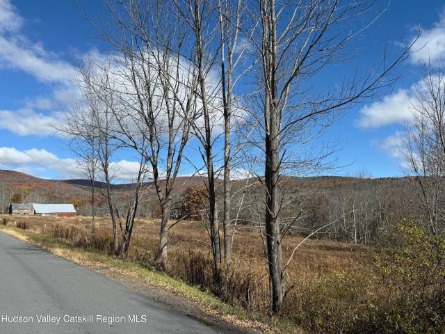 Land for sale in Ashland, New York