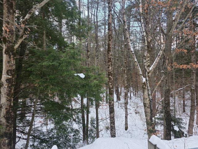 Land for sale in New Hampshire