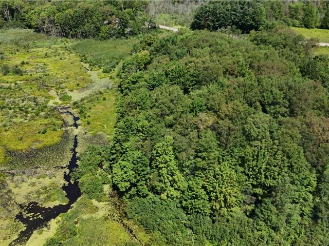 Land for sale in Cassadaga, New York