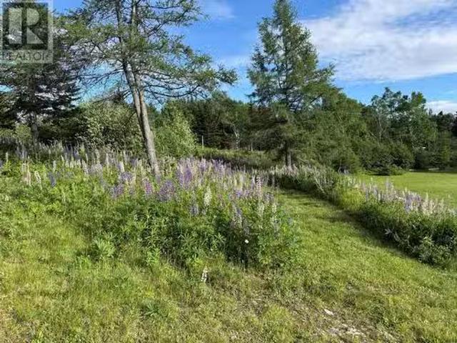 House for sale in Newfoundland And Labrador