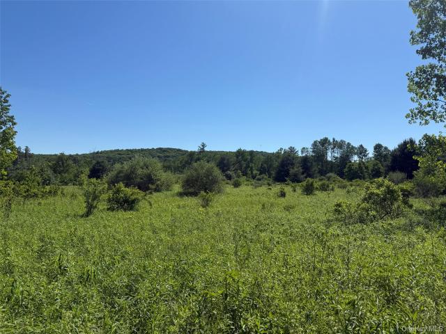 Commercial for sale in Millerton, New York