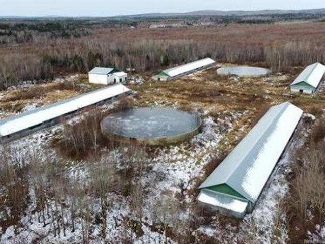 Farm for sale in Queensbury, New Brunswick